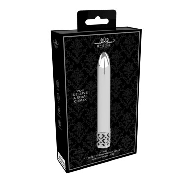 Shiny - Rechargeable ABS Bullet - Silver